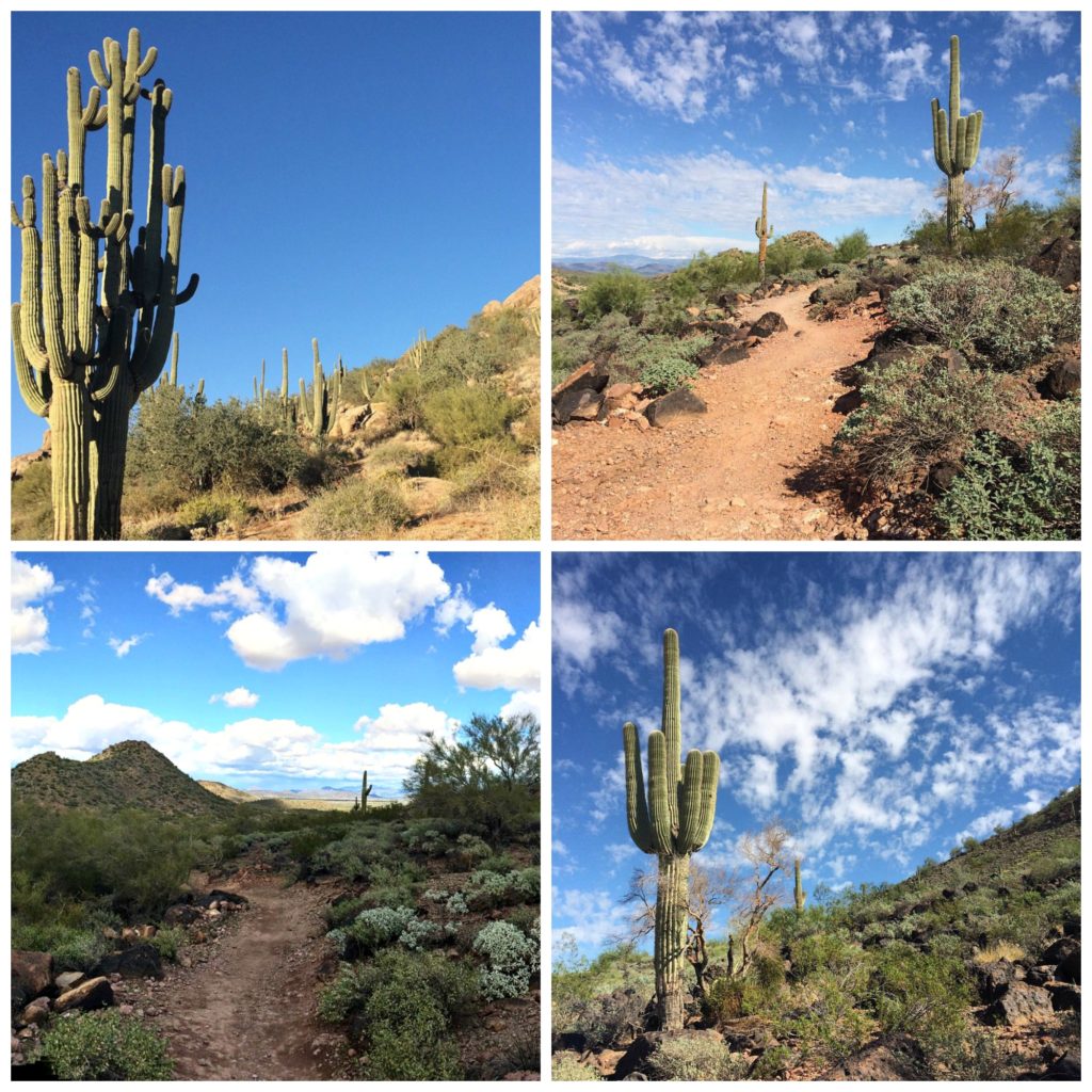 hiking in Arizona