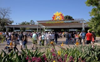 San Diego Zoo 100 years