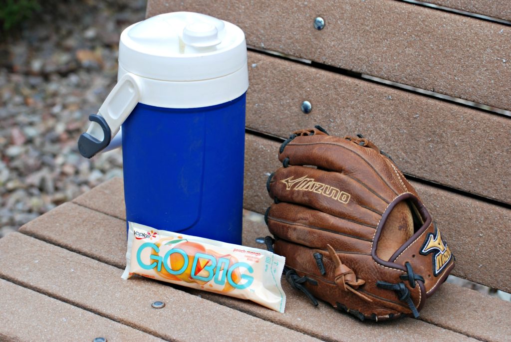 yoplait-go-big-yogurt