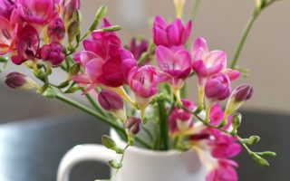 Self-care on a Budget