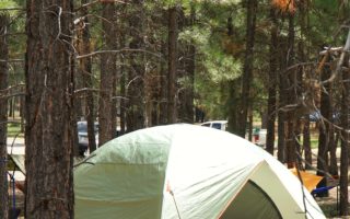 games for camping trips