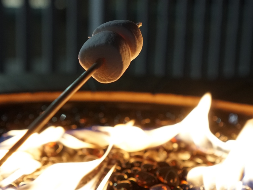Marshmallows roasting over a fire