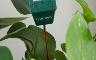 plant moisture meter
