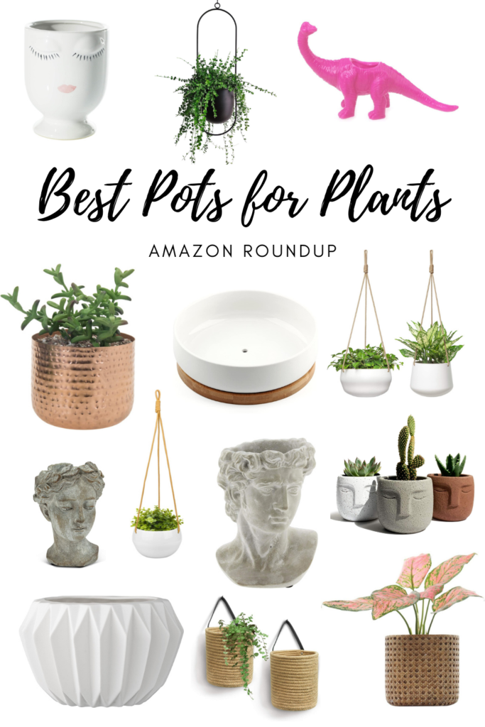Best Pots for Plants