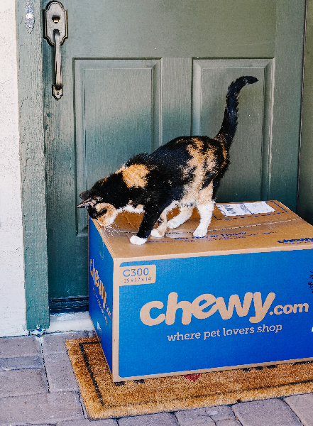Chewy cat supplies home delivery